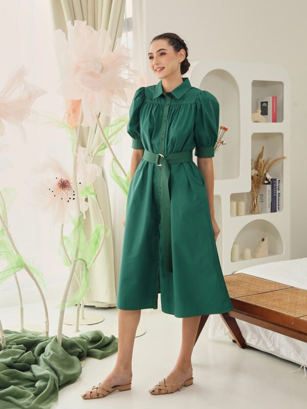 Clarissa Belted Shirt Dress