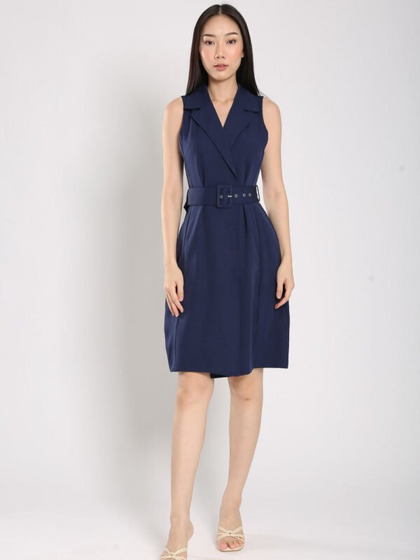 Olwyn Dress in Navy Blue