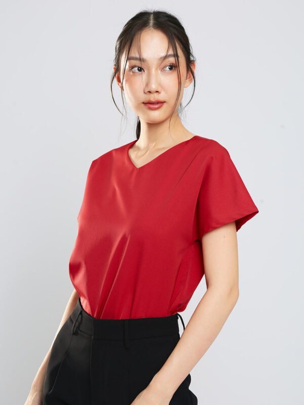 Danna V-Neck Top in Brick Red
